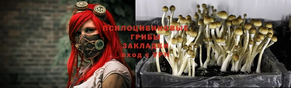 мяу мяу мука Вяземский